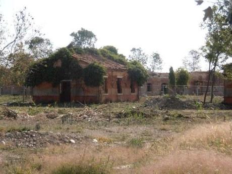 Ruines des installations militaires de la Certosa