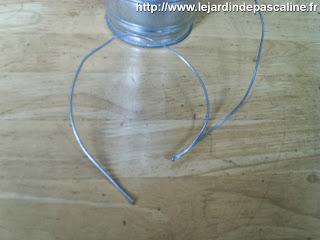 Bouture de Kalanchoe Beharensis...déco !