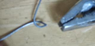 Bouture de Kalanchoe Beharensis...déco !