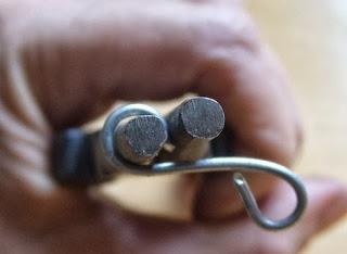 Bouture de Kalanchoe Beharensis...déco !