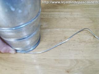 Bouture de Kalanchoe Beharensis...déco !