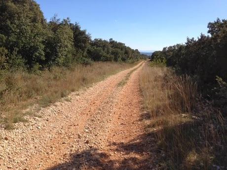 Promenons nous dans les bois...