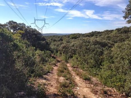 Promenons nous dans les bois...
