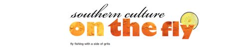 SOUTHERN CULTURE #9 SUR VOTRE ECRAN