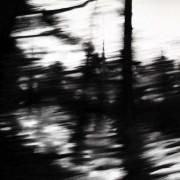 exposition Carlijn Mens à la maison Salvan | Labèges