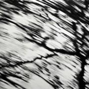 exposition Carlijn Mens à la maison Salvan | Labèges