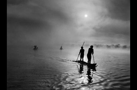 Exposition : Genesis , Sebastiao Salgado