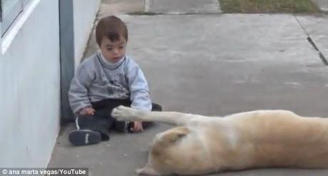 Dans Labrador il y a « Or » ! la preuve !