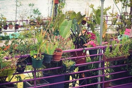 EYE OF THE TIGER EYE OF THE TIGER