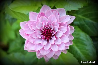 J'ai réalisé qu'il était temps de prendre quelques photos...