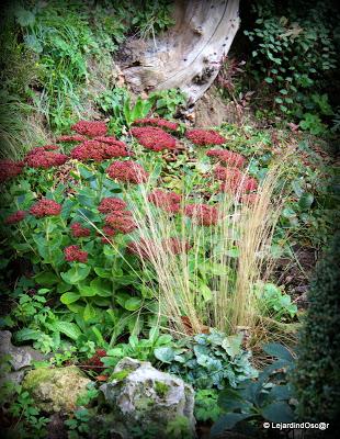 J'ai réalisé qu'il était temps de prendre quelques photos...