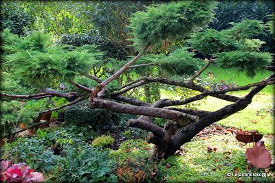 J'ai réalisé qu'il était temps de prendre quelques photos...