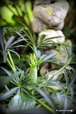 J'ai réalisé qu'il était temps de prendre quelques photos...