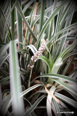 J'ai réalisé qu'il était temps de prendre quelques photos...