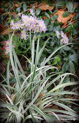 J'ai réalisé qu'il était temps de prendre quelques photos...