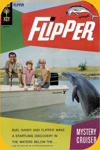 flipper-3.jpg