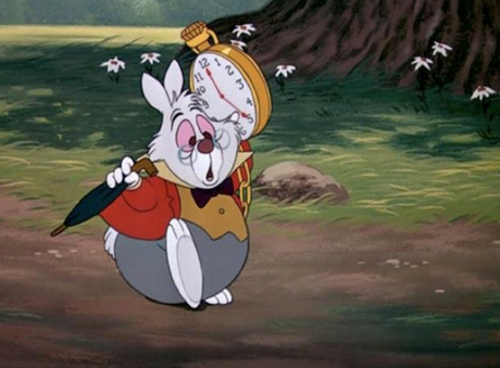 alice lapin blanc montre