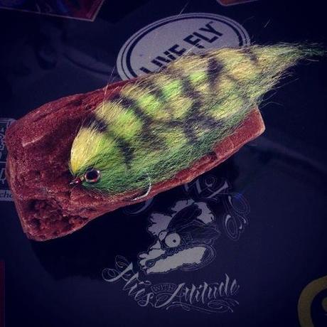 1385547_10202360794767785_2101115649_n