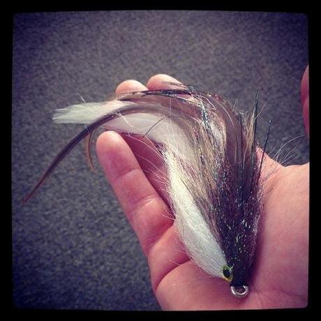 1240228_10202092868509796_1597536049_n