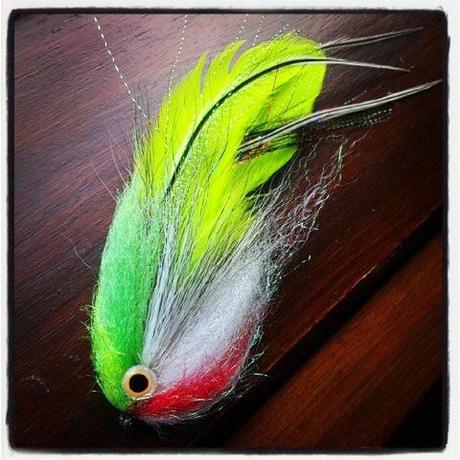 1186296_10202193677109948_660716255_n