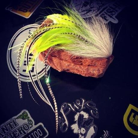 1184877_10202375462574471_647929842_n