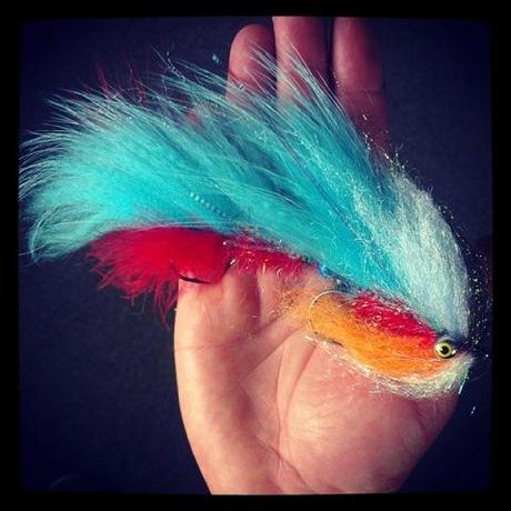 1187212_10202047555577001_1543309419_n