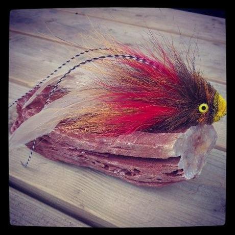 1380388_10202271600857993_384122876_n