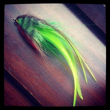 1236660_10202093538006533_695216693_n