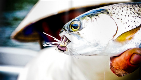 Southern Culture On the Fly #9