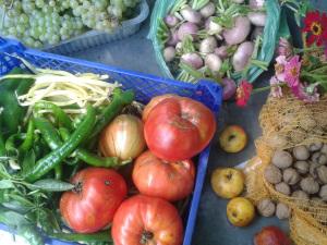 panier retour du gers