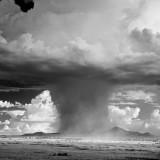 Mitch Dobrowner 01