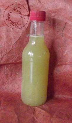 sirop kiwi (2)