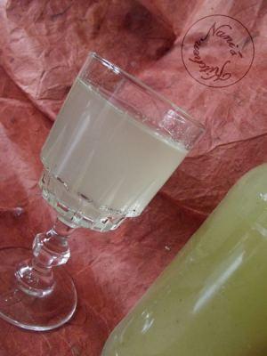 sirop kiwi (4)