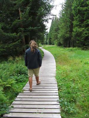 Dans les Vosges, fin août