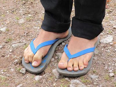 Dans les Vosges, fin août