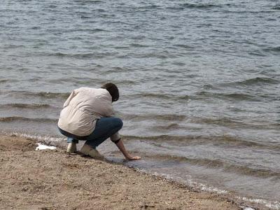 Dans les Vosges, fin août