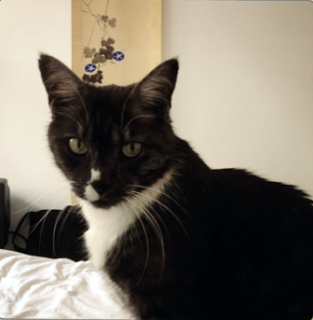 Carlos, second hand shop