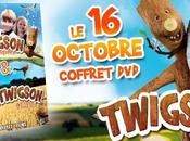 Concours Twigson coffrets gagner!!