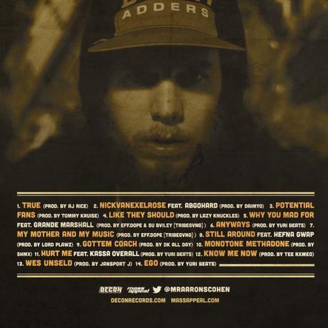 aaron cohen potential fans 2