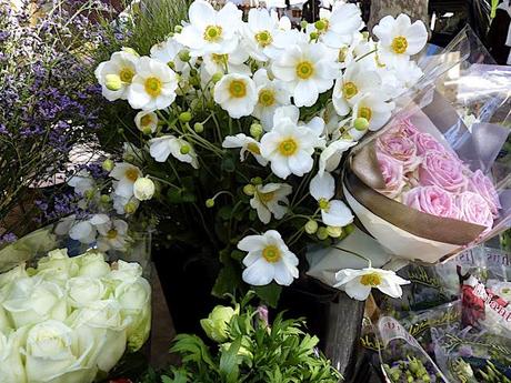 L'été indien à Saint Tropez