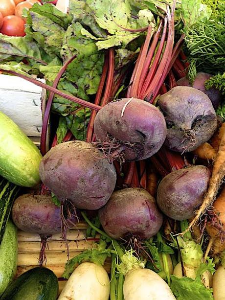 L'été indien à Saint Tropez