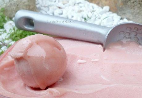 Sorbet pêche de vigne (3)