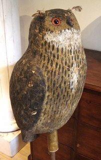 Hiboux, Chouettes pensées nocturnes