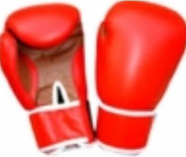 gants-de-boxe.jpg