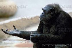 Natureoutsidedaylight_000802_c049_2