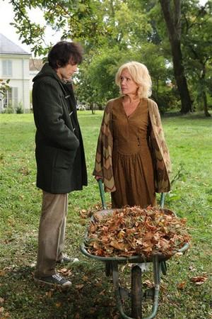 saraison18913772_w434_h_q80