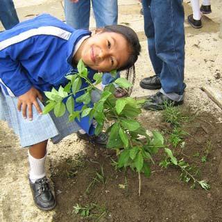 un enfant heureux qui a planté un arbre