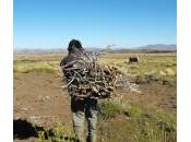 rencontre d’ELSILINA, acteur commerce équitable