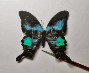 L’art sur les ailes de papillon Hasan-Kale-peinture papillon 2