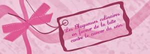 Bloggeuses_Lutte_contre_le_cancer sur Imagesia